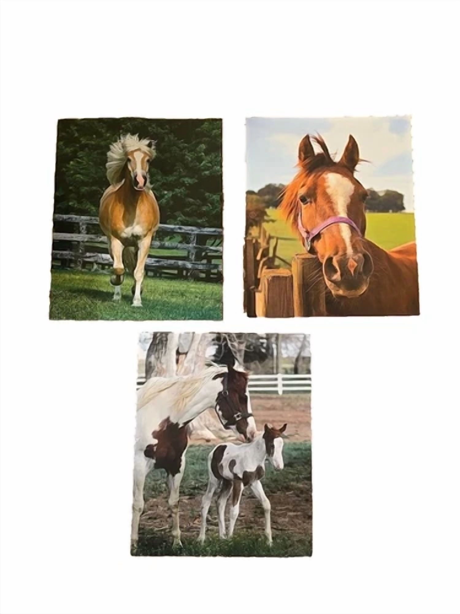 Lot Of 3 School 2 Pocket Folders; Punched For 3 Ring Binder; Horse & Pony Design